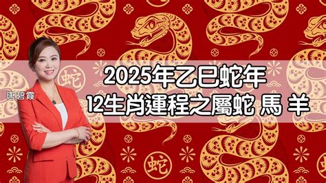 2025 蛇年|2025蛇年運程｜12生肖運勢全面睇+犯太歲4生肖+開運大